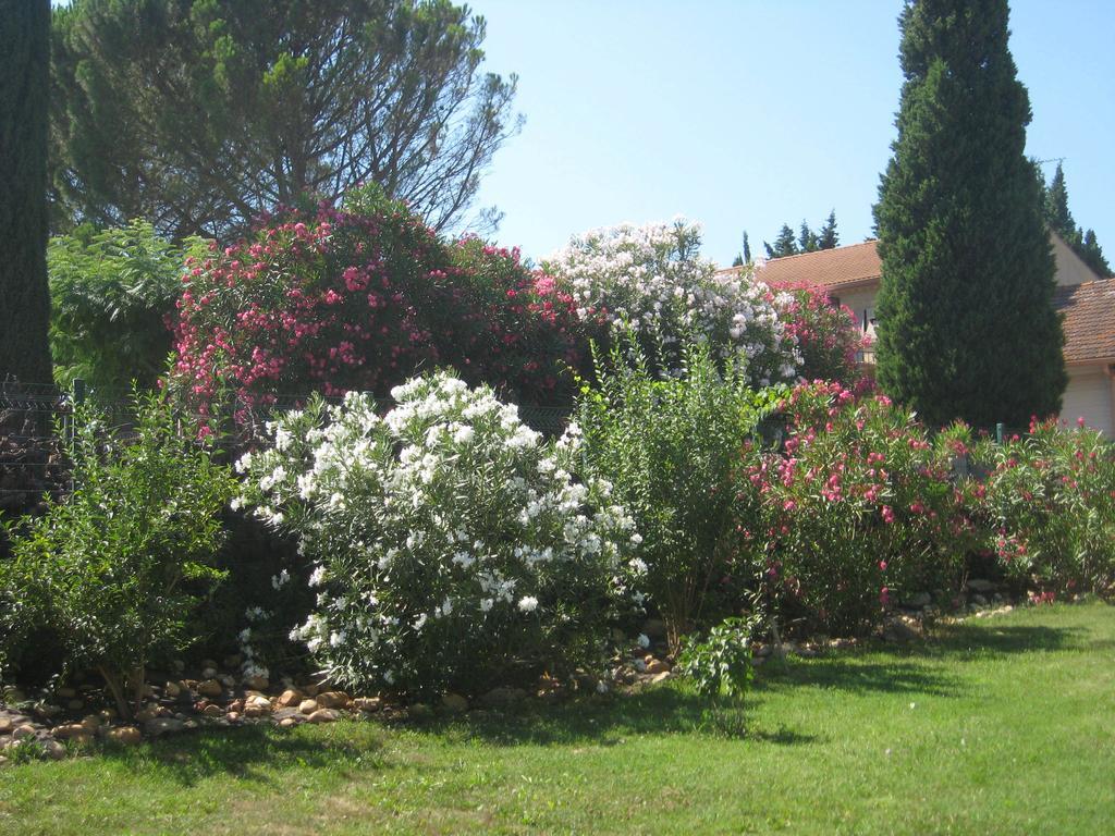 Bed and Breakfast Mas Du Puits Courthézon Exterior foto